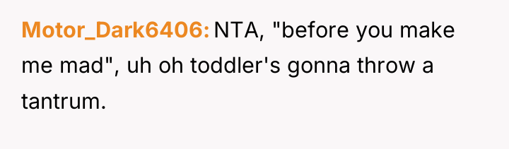 Motor_Dark6406 NTA, "before you make me mad", uh oh toddler's...