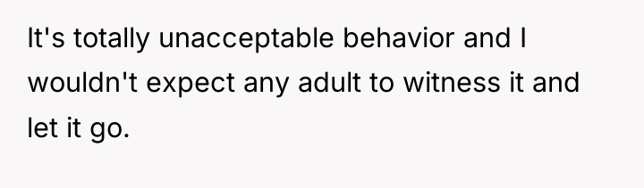 It's totally unacceptable behavior and I wouldn't expect any adult...