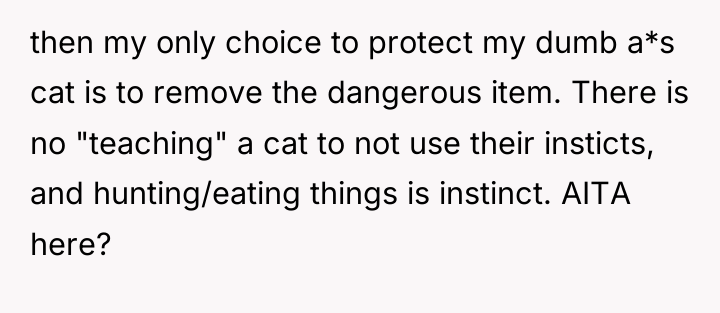 then my only choice to protect my dumb a*s cat...