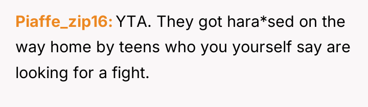 Piaffe_zip16 YTA. They got hara*sed on the way home by...