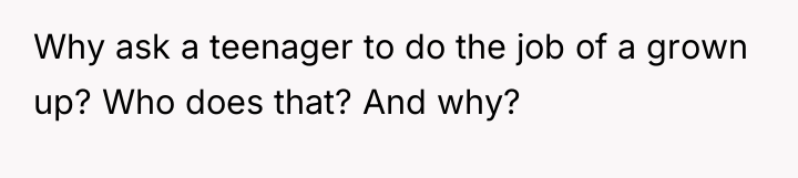 Why ask a teenager to do the job of a...