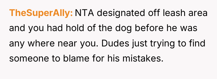 TheSuperAlly NTA designated off leash area and you had hold...