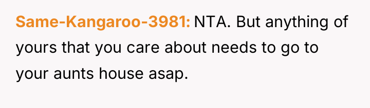 Same-Kangaroo-3981 NTA. But anything of yours that you care about...