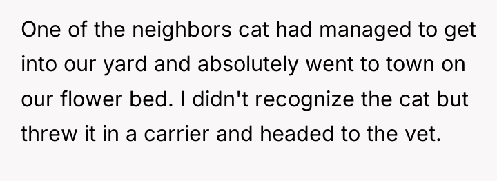 One of the neighbors cat had managed to get into...
