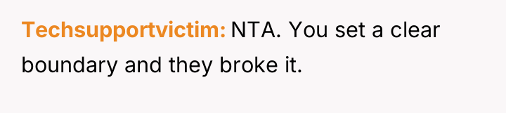 Techsupportvictim NTA. You set a clear boundary and they broke...