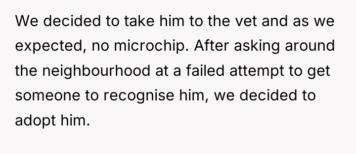 We decided to take him to the vet and as...