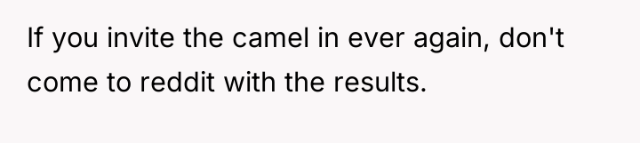If you invite the camel in ever again, don't come...
