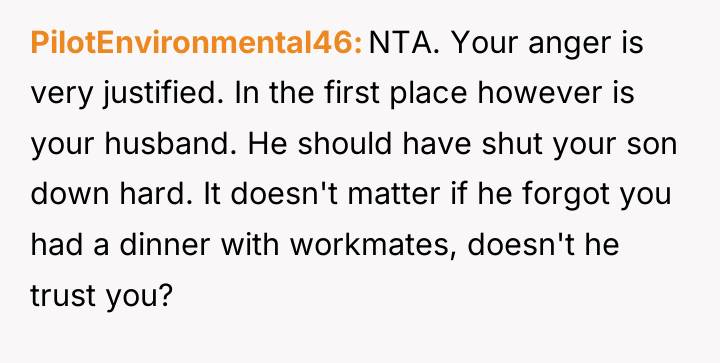 PilotEnvironmental46 NTA. Your anger is very justified. In the first...