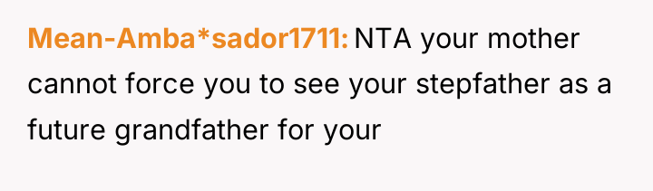 Mean-Amba*sador1711 NTA your mother cannot force you to see your...