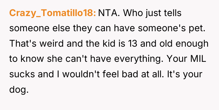 Crazy_Tomatillo18 NTA. Who just tells someone else they can have...