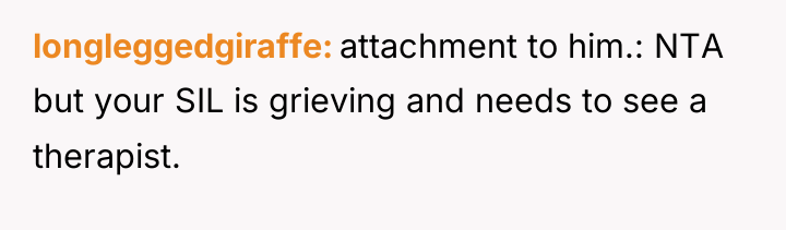 longleggedgiraffe attachment to him.: NTA but your SIL is grieving...