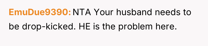 EmuDue9390 NTA Your husband needs to be drop-kicked. HE is...