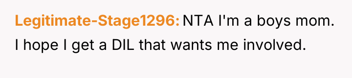 Legitimate-Stage1296 NTA I'm a boys mom. I hope I get...