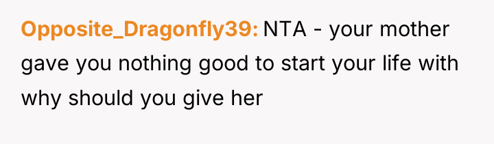 Opposite_Dragonfly39 NTA - your mother gave you nothing good to...