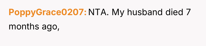 PoppyGrace0207 NTA. My husband died 7 months ago,