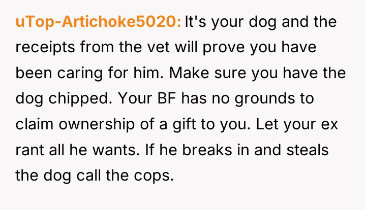 uTop-Artichoke5020 It's your dog and the receipts from the vet...