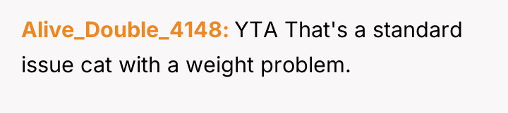 Alive_Double_4148 YTA That's a standard issue cat with a weight...