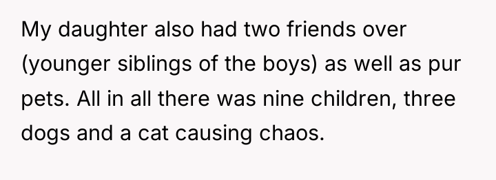 My daughter also had two friends over (younger siblings of...