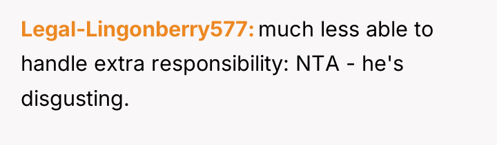 Legal-Lingonberry577 much less able to handle extra responsibility: NTA -...