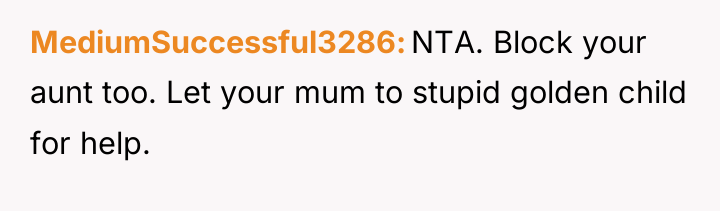 MediumSuccessful3286 NTA. Block your aunt too. Let your mum to...