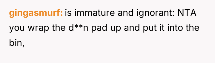 gingasmurf is immature and ignorant: NTA you wrap the d**n...