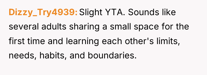 Dizzy_Try4939 Slight YTA. Sounds like several adults sharing a small...