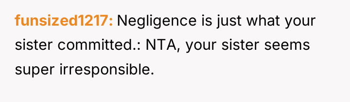 funsized1217 Negligence is just what your sister committed.: NTA, your...