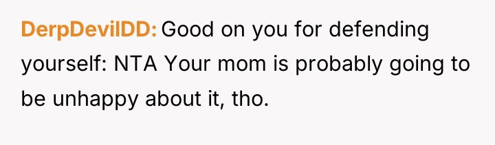 DerpDevilDD Good on you for defending yourself: NTA Your mom...