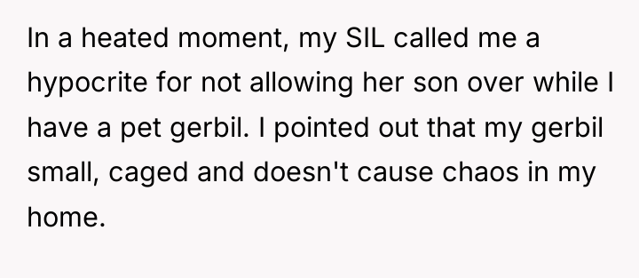 In a heated moment, my SIL called me a hypocrite...