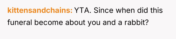 kittensandchains YTA. Since when did this funeral become about you...