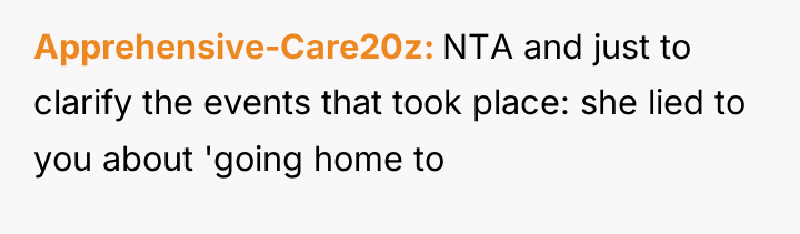 Apprehensive-Care20z NTA and just to clarify the events that took...