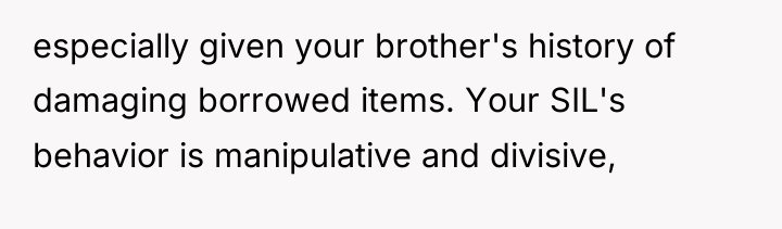 especially given your brother's history of damaging borrowed items. Your...