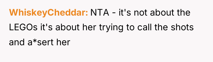 WhiskeyCheddar NTA - it's not about the LEGOs it's about...