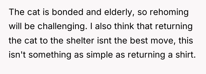 The cat is bonded and elderly, so rehoming will be...