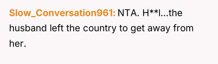 Slow_Conversation961 NTA. H**l...the husband left the country to get away...