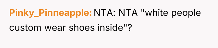 Pinky_Pinneapple NTA: NTA "white people custom wear shoes inside"?
