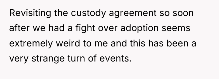 Revisiting the custody agreement so soon after we had a...