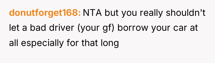 donutforget168 NTA but you really shouldn't let a bad driver...