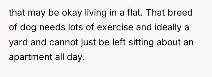 that may be okay living in a flat. That breed...