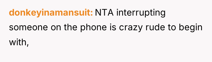 donkeyinamansuit NTA interrupting someone on the phone is crazy rude...