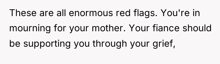 These are all enormous red flags. You're in mourning for...