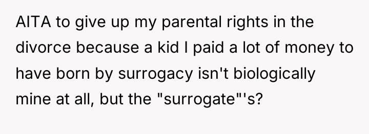 AITA to give up my parental rights in the divorce...