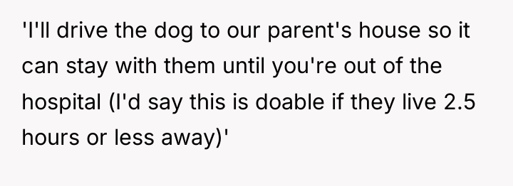 'I'll drive the dog to our parent's house so it...