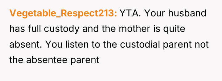 Vegetable_Respect213 YTA. Your husband has full custody and the mother...