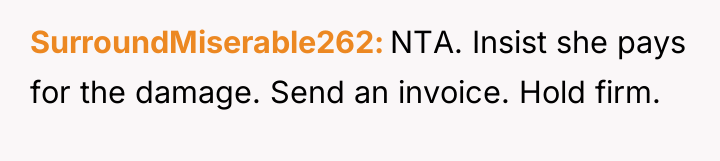 SurroundMiserable262 NTA. Insist she pays for the damage. Send an...