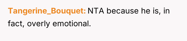 Tangerine_Bouquet NTA because he is, in fact, overly emotional.