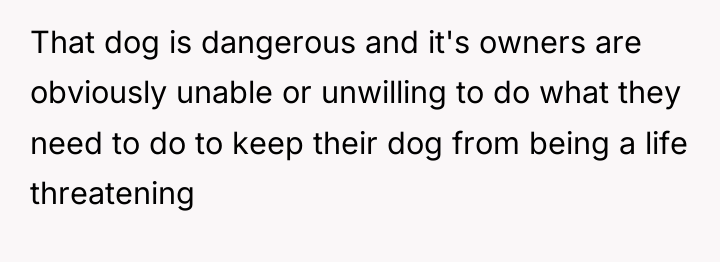 That dog is dangerous and it's owners are obviously unable...