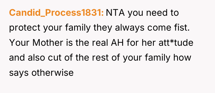 Candid_Process1831 NTA you need to protect your family they always...