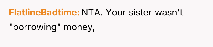 FlatlineBadtime NTA. Your sister wasn't "borrowing" money,