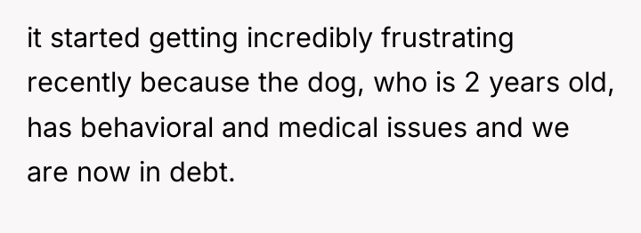 it started getting incredibly frustrating recently because the dog, who...